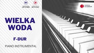 WIELKA WODA FDUR INSTRUMENTAL SHORT [upl. by Navad]