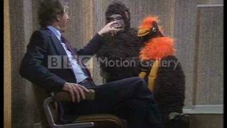 oliver reed in a gorilla suit [upl. by Lexine]