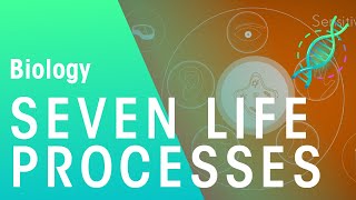 Seven Life Processes  Physiology  Biology  FuseSchool [upl. by Marvin]