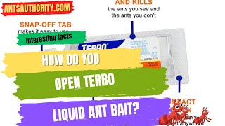 How Do You Open Terro Liquid Ant Bait [upl. by Ereveneug]