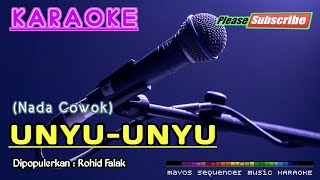 UNYUUNYU Nada Cowok Rohid Falak KARAOKE [upl. by Eellek]