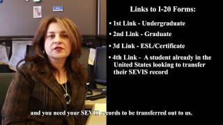 Baruch College I20 Instructional Video [upl. by Lesh676]