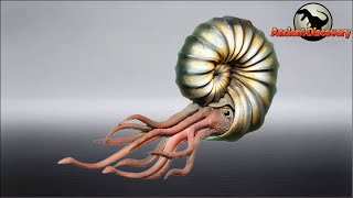 Ammonites Part 1  A Dive into the Bittersweet Evolutionary Odyssey  Evolution Story [upl. by Aidekal]