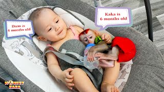 Compilation of super cute moments of Monkey Kaka and baby Diem [upl. by Felten]