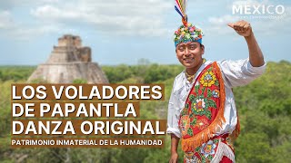 La ceremonia ritual de los Voladores de Papantla  Pájaros de la Tierra  Patrimonio Inmaterial [upl. by Giraud]