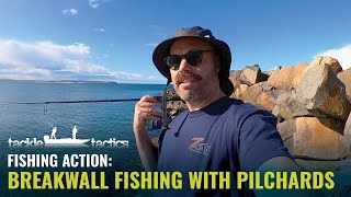 Breakwall Fishing with Pilchards for Tailor Australian Salmon and Flathead [upl. by Shermie499]