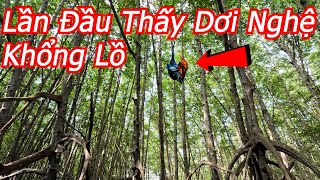 Quang Trip  Lần Đầu Thấy Dơi Nghệ Khổng Lồ Tại Khu Du Lịch Và Sát Cần Giờ [upl. by Olly]