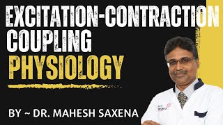 Excitation Contraction coupling  Nerve Muscle Physiology  MBBS 1ST YEAR [upl. by Ahsenet]