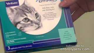 Virbac Effipro for Cats [upl. by Ralat441]