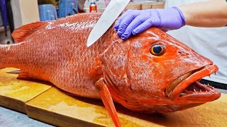 Sharp Teeth！Red Snapper Fish Cutting Skills Port Fish Auction Market  尖銳的牙齒！紅糟魚切割技巧 烤魚下巴  台灣美食 [upl. by Adnelg]