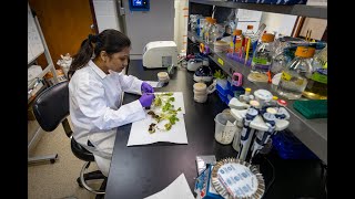 A halfcentury of impact for the Southern Piedmont Agricultural Research and Extension Center [upl. by Stagg]