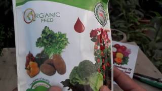 Organic Blood Meal Fertilizer  Organic Gardening Fertilizers  How to Add Nitrogen Urduhindi [upl. by Thomas814]