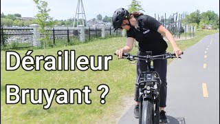 Ajuster Un Dérailleur Arrière Sur Un Vélo [upl. by Eadnus729]