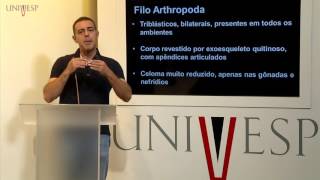 Biologia Geral  Aula 18  Ecdysozoa [upl. by Yort410]