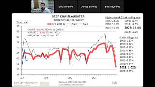 Feedlot Webinars Beef Cattle Market Outlook [upl. by Neehahs]