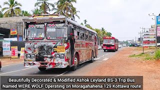 Beautiful Ashok Leyland BS3 Modified amp Full Stickered Bus Named WERE WOLF Bus [upl. by Jermain]