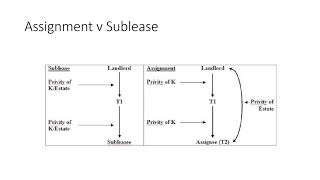 ASSIGNMENT v SUBLEASE [upl. by Gilbertson203]