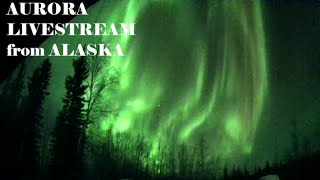 LIVE Alaska Aurora Live Stream Jan 34 2024 [upl. by Hpesoj]