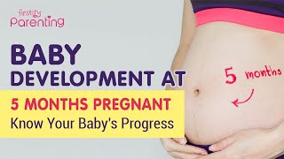 5 Month Pregnant  Know the Baby Development [upl. by Les]