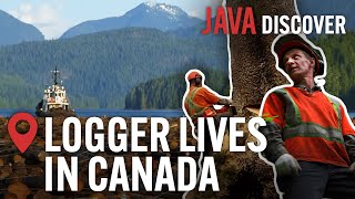 The Real Lives of Loggers in Canada From Forest to Factory  Canadian Lumberjack Documentary [upl. by Olocin809]