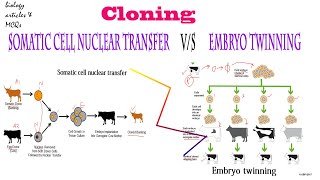 Cloning  Somatic cell nuclear transfer  Embryo twinning  BIOLOGY ARTICLES AND MCQS [upl. by Laurianne568]