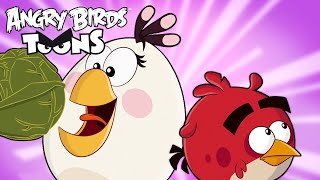 Angry Birds Toons Season 3  Ep 11 to 15 [upl. by Conal]