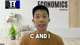 Economics Tuition What is the Crowdingout Effect [upl. by Flavia445]