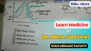 Nerve Conduction amp Action Potential  Depolarization Repolarization Transmission Nervous System [upl. by Nonnarb]