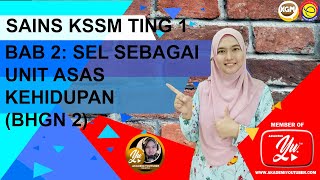 BAB 11  PENGANGKUTAN  JLPI  BIOLOGI KBSM F5 [upl. by Yvonner]