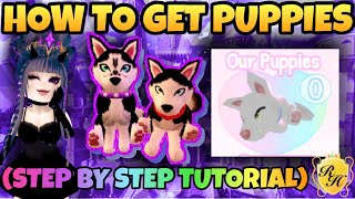 How to get a PUPPYPET FOR FREE less than 5 mins in the New Royale High School Campus 3 [upl. by Forkey]