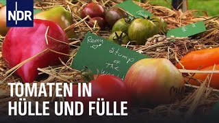 Tomatenalarm Zwei Frauen und die Rote Murmel  Die Nordreportage  NDR Doku [upl. by Goldi]