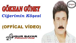 Gökhan Güney  Ciğerimin Köşesi Official Music Audio [upl. by Nodarb]