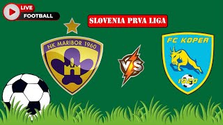 NK Maribor VS FC Koper  Slovenia Prva Liga  Football Live Match Score today [upl. by Nanerb]