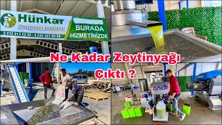 243 Kilo Zeytinden Bakın Kaç Kilo Zeytinyağı Çıktı  Osmaniye Sumbas [upl. by Parlin249]