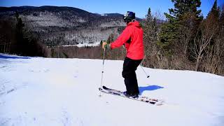 Telemark lessons  intro to moguls [upl. by Akinaj438]