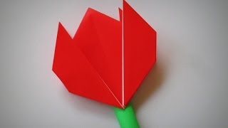 Origami  How to make a TULIP [upl. by Ycniuqal]