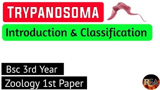 TRYPANOSOMAclassificationintroduction  Zoology 1st paper  Bsc 3rd year Hindi notes [upl. by Akitnahs]