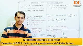 GPCR Receptors signaling molecule and Cellular Action  GPCR Mnemonics [upl. by Shaw73]