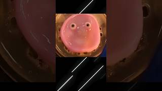 Japanese Scientists Create Smiling Robots with Living Human Cells ai robotics tech [upl. by Doersten]