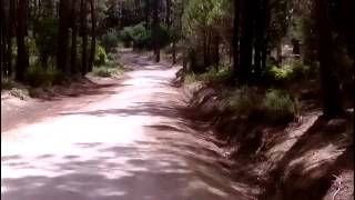 Caminhar na Serra de Sintra Parque Natural de SintraCascais 20150613 1331 [upl. by Duster]