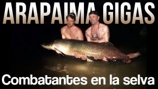 Arapaima Gigas  Combatantes en la selva  DVDklassiker från 2005 [upl. by Obadias85]