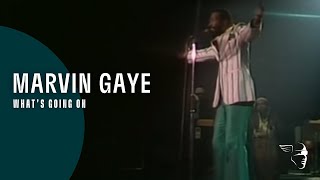 Marvin Gaye  Whats Going On Greatest Hits  Live In Amsterdam [upl. by Wendalyn]