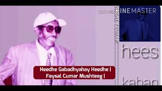 Heedhe Gabadhyahay Heedhe Faysal Cumar Mushteeg [upl. by Feilak]