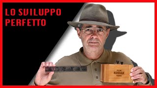 LO SVILUPPO PERFETTO [upl. by Jari]