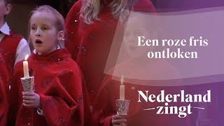 Nederland Zingt Een roze fris ontloken [upl. by Aurel]