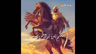 Allama Iqbal Poetry  ChinOArab Hamara  TaranaEMilli  Jihad Status  Shorts [upl. by Jesher]