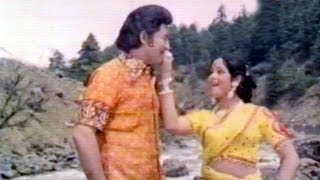 Malle Puvvu Songs  Chaka Chaka Saage  Shobhan Babu LaxmiJayasudha  HD [upl. by Hefter]