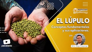 El Lúpulo ingrediente clave para el amargor sabor y aroma de tu cerveza artesanal [upl. by Lesley]