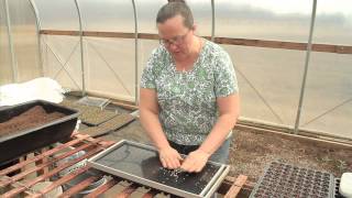 Filling Trays and Seeding 2 of 3 [upl. by Munafo]