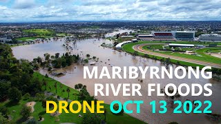 Maribyrnong River Floods  4K Drone  Melbourne  Oct 14 2022 [upl. by Anitram]